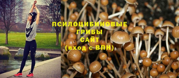 СК Богородицк