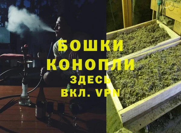 СК Богородицк