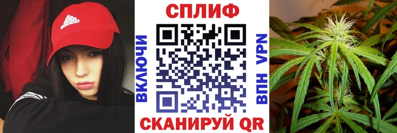 Марихуана SATIVA & INDICA  Венёв 